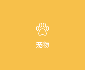 寵物(wù)APP開(kāi)發解決方案